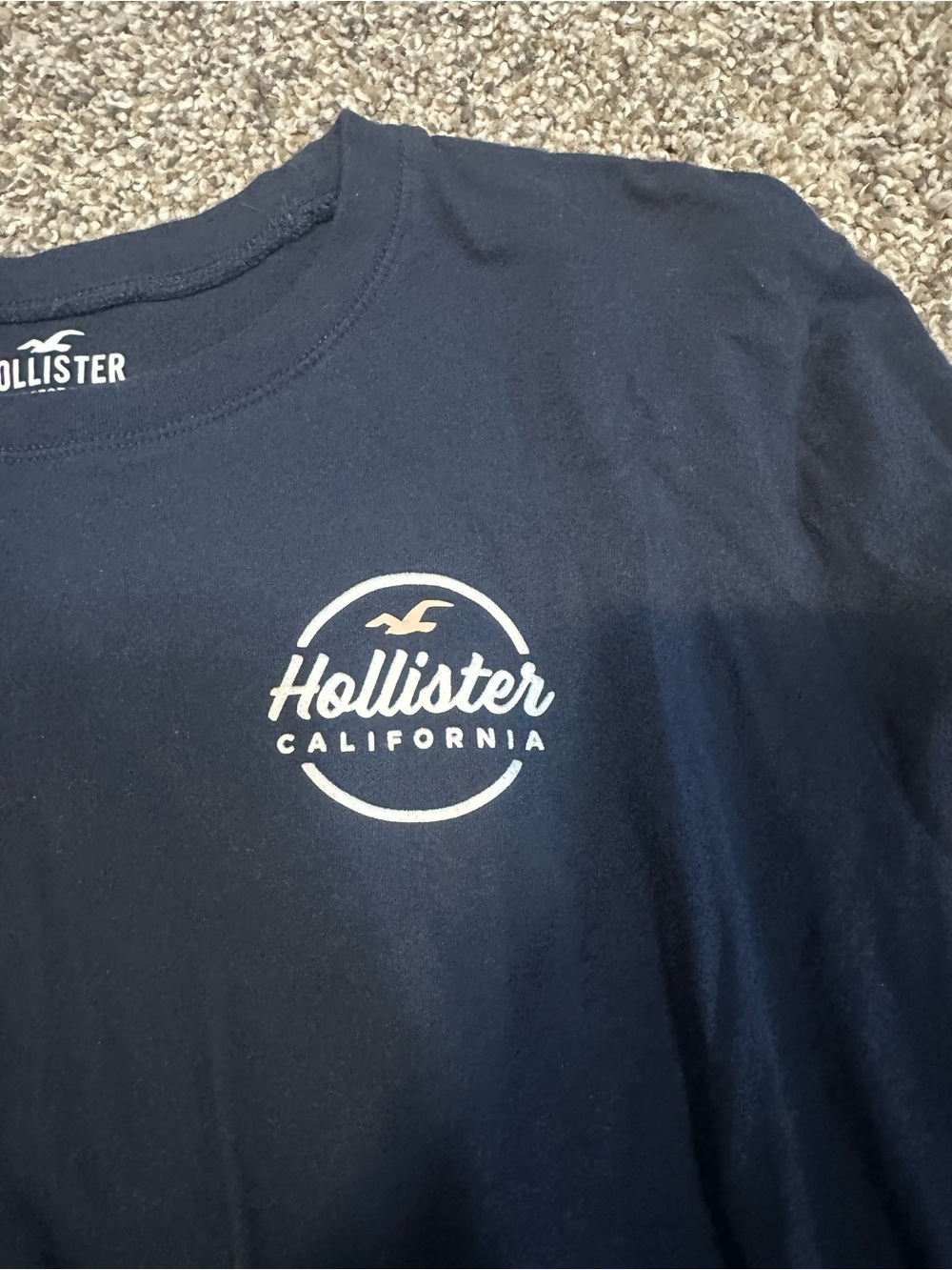 Hollister Navy Graphic Crewneck Tee